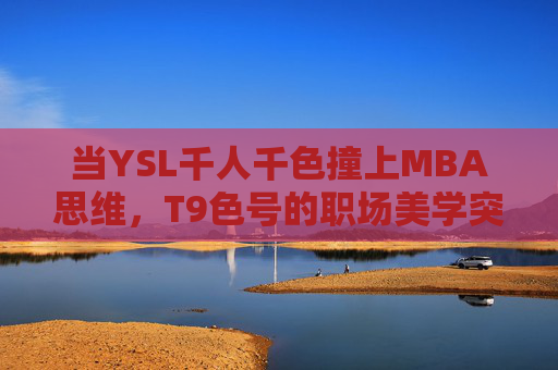 当YSL千人千色撞上MBA思维，T9色号的职场美学突围战，YSL T9色号，MBA思维下的职场美学突围战