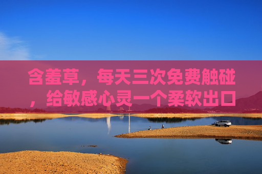 含羞草，每天三次免费触碰，给敏感心灵一个柔软出口，含羞草的三次触碰，给敏感心灵一个柔软出口