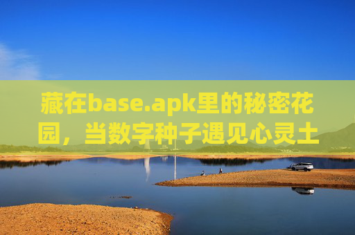 藏在base.apk里的秘密花园，当数字种子遇见心灵土壤，base.apk，数字种子与心灵土壤的秘密花园