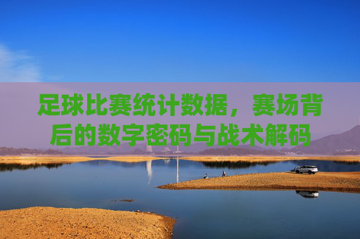 足球比赛统计数据，赛场背后的数字密码与战术解码