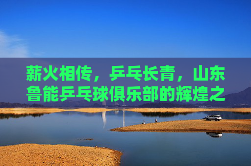 薪火相传，乒乓长青，山东鲁能乒乓球俱乐部的辉煌之路，薪火相传，乒乓长青，山东鲁能乒乓球俱乐部辉煌之路