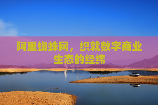 阿里蜘蛛网，织就数字商业生态的经纬