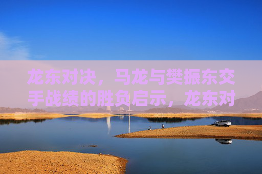 龙东对决，马龙与樊振东交手战绩的胜负启示，龙东对决，马龙樊振东胜负战绩的启示