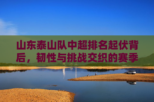 山东泰山队中超排名起伏背后,韧性与挑战交织的赛季答卷,山东泰山队中超起伏季,韧性与挑战交织的答卷 山东泰山队中超排名起伏背后,韧性与挑战交织的赛季答卷,山东泰山队中超起伏季,韧性与挑战交织的答卷