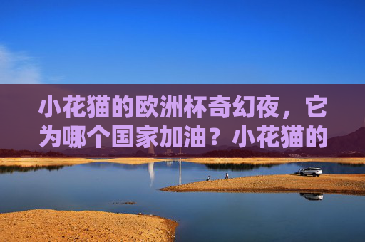 小花猫的欧洲杯奇幻夜，它为哪个国家加油？小花猫的欧洲杯奇幻夜，它为哪个国家加油？