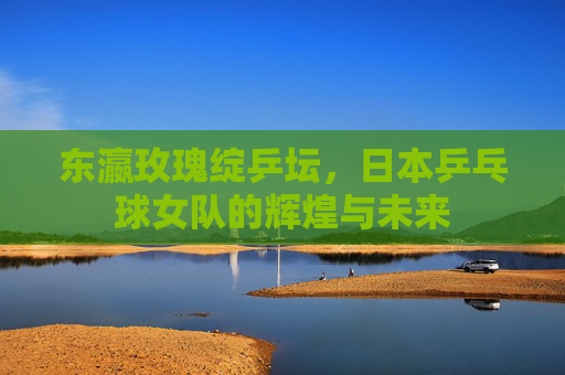 东瀛玫瑰绽乒坛,日本乒乓球女队的辉煌与未来 东瀛玫瑰绽乒坛,日本乒乓球女队的辉煌与未来
