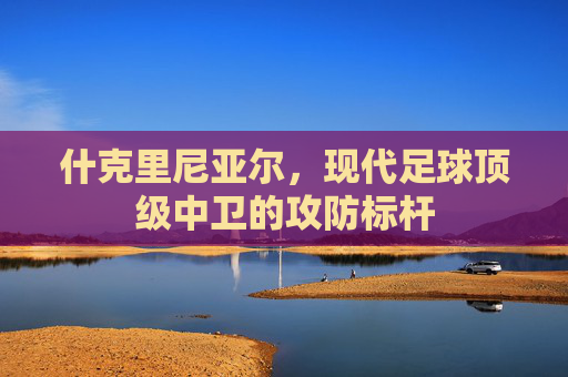 什克里尼亚尔,现代足球顶级中卫的攻防标杆 什克里尼亚尔,现代足球顶级中卫的攻防标杆
