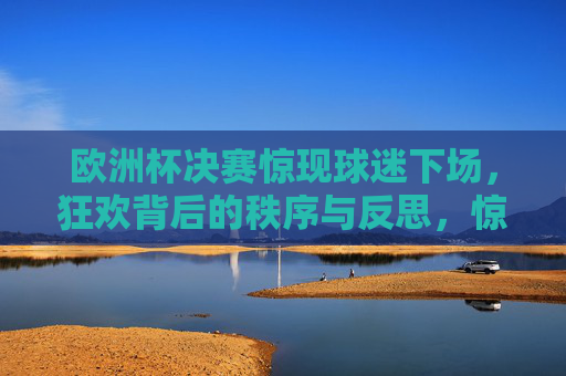 欧洲杯决赛惊现球迷下场，狂欢背后的秩序与反思，惊现狂欢，欧洲杯决赛球迷下场的秩序反思