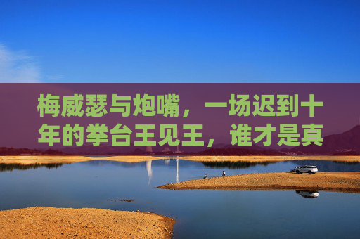 梅威瑟与炮嘴,一场迟到十年的拳台王见王,谁才是真正的终极王者? 梅威瑟与炮嘴,一场迟到十年的拳台王见王,谁才是真正的终极王者?