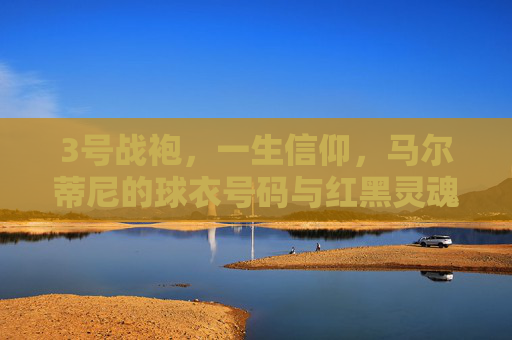 3号战袍,一生信仰,马尔蒂尼的球衣号码与红黑灵魂,3号红黑魂,马尔蒂尼的一生信仰 3号战袍,一生信仰,马尔蒂尼的球衣号码与红黑灵魂,3号红黑魂,马尔蒂尼的一生信仰