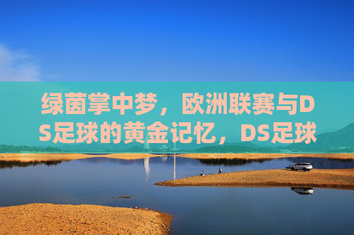 绿茵掌中梦，欧洲联赛与DS足球的黄金记忆，DS足球的绿茵掌中梦，欧洲联赛黄金记忆