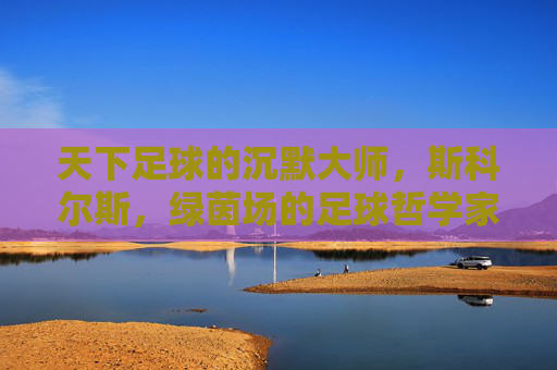 天下足球的沉默大师,斯科尔斯,绿茵场的足球哲学家,沉默大师斯科尔斯,绿茵场的足球哲学家 天下足球的沉默大师,斯科尔斯,绿茵场的足球哲学家,沉默大师斯科尔斯,绿茵场的足球哲学家