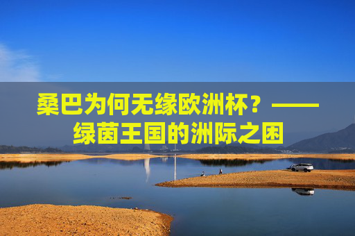 桑巴为何无缘欧洲杯?——绿茵王国的洲际之困 桑巴为何无缘欧洲杯?——绿茵王国的洲际之困