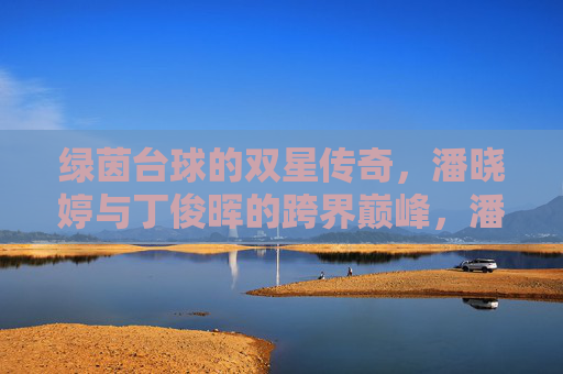 绿茵台球的双星传奇,潘晓婷与丁俊晖的跨界巅峰,潘晓婷丁俊晖,台球双星的巅峰传奇 绿茵台球的双星传奇,潘晓婷与丁俊晖的跨界巅峰,潘晓婷丁俊晖,台球双星的巅峰传奇