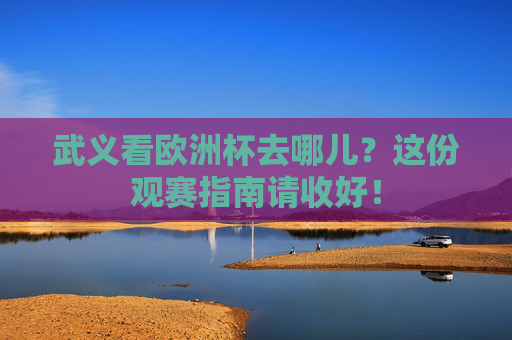 武义看欧洲杯去哪儿？这份观赛指南请收好！
