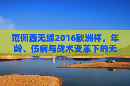 范佩西无缘2016欧洲杯,年龄、伤病与战术变革下的无奈告别,范佩西无缘2016欧洲杯,年龄、伤病与战术变革下的无奈告别 范佩西无缘2016欧洲杯,年龄、伤病与战术变革下的无奈告别,范佩西无缘2016欧洲杯,年龄、伤病与战术变革下的无奈告别