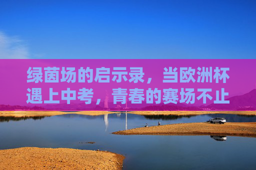 绿茵场的启示录，当欧洲杯遇上中考，青春的赛场不止一种，欧洲杯遇中考，青春赛场不止一种