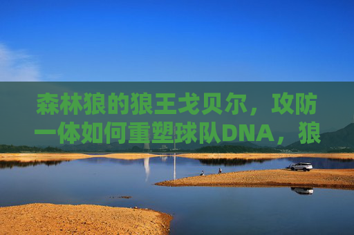 森林狼的狼王戈贝尔，攻防一体如何重塑球队DNA，狼王戈贝尔攻防一体如何重塑森林狼DNA