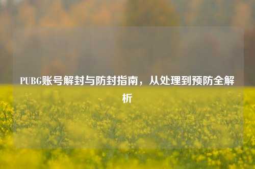 PUBG账号解封与防封指南，从处理到预防全解析