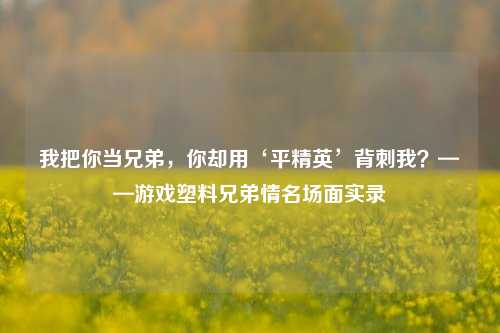 我把你当兄弟，你却用‘平精英’背刺我？——游戏塑料兄弟情名场面实录
