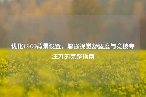 优化CS:GO背景设置，增强视觉舒适度与竞技专注力的完整指南