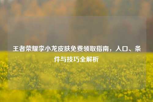 王者荣耀李小龙皮肤免费领取指南，入口、条件与技巧全解析