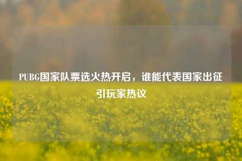 PUBG国家队票选火热开启，谁能代表国家出征引玩家热议