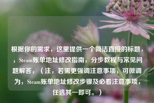 根据你的需求，这里提供一个简洁直接的标题，，Steam账单地址修改指南，分步教程与常见问题解答，（注，若需更强调注意事项，可微调为，Steam账单地址修改步骤及必看注意事项，任选其一即可。）