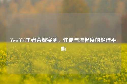 Vivo Y53王者荣耀实测，性能与流畅度的绝佳平衡
