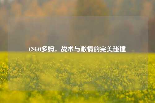 CSGO多姆，战术与***的完美碰撞