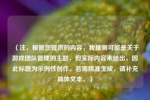 （注，根据您提供的内容，我推测可能是关于游戏团队管理的主题，但实际内容未给出，因此标题为示例性创作。若需精准生成，请补充具体文本。）