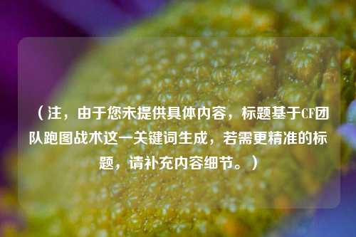 （注，由于您未提供具体内容，标题基于CF团队跑图战术这一关键词生成，若需更精准的标题，请补充内容细节。）