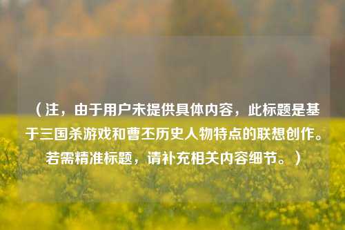 （注，由于用户未提供具体内容，此标题是基于三国杀游戏和曹丕历史人物特点的联想创作。若需精准标题，请补充相关内容细节。）