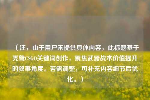 （注，由于用户未提供具体内容，此标题基于秃鹫CSGO关键词创作，聚焦武器战术价值提升的叙事角度。若需调整，可补充内容细节后优化。）