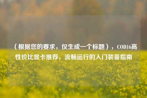 （根据您的要求，仅生成一个标题），COD16高性价比显卡推荐，流畅运行的入门装备指南