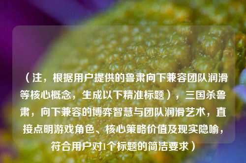 （注，根据用户提供的鲁肃向下兼容团队润滑等核心概念，生成以下精准标题），三国杀鲁肃，向下兼容的博弈智慧与团队润滑艺术，直接点明游戏角色、核心策略价值及现实隐喻，符合用户对1个标题的简洁要求）