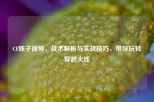 CF陈子视频，战术解析与实战技巧，带你玩转穿越火线