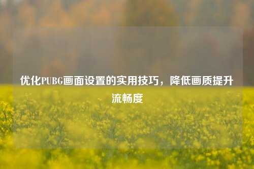 优化PUBG画面设置的实用技巧，降低画质提升流畅度