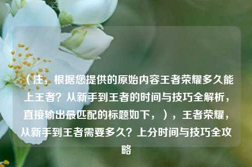 （注，根据您提供的原始内容王者荣耀多久能上王者？从新手到王者的时间与技巧全解析，直接输出最匹配的标题如下，），王者荣耀，从新手到王者需要多久？上分时间与技巧全攻略
