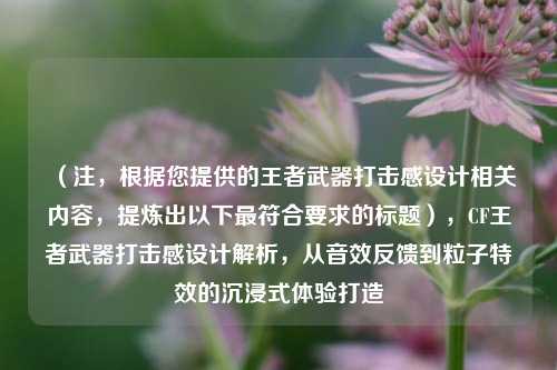 （注，根据您提供的王者武器打击感设计相关内容，提炼出以下更符合要求的标题），CF王者武器打击感设计解析，从音效反馈到粒子特效的沉浸式体验打造