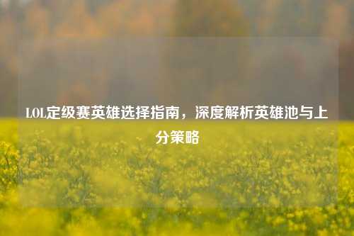 LOL定级赛英雄选择指南，深度解析英雄池与上分策略