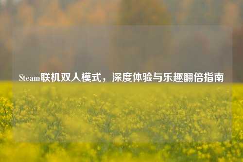 Steam联机双人模式，深度体验与乐趣翻倍指南