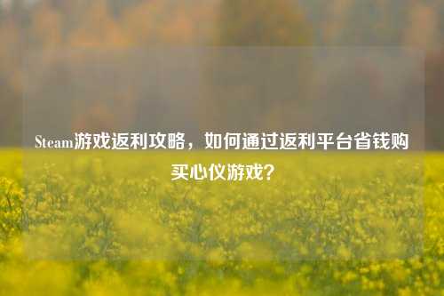 Steam游戏返利攻略，如何通过返利平台省钱购买心仪游戏？