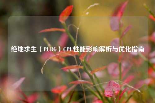 绝地求生（PUBG）CPU性能影响解析与优化指南