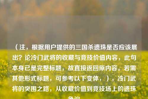 （注，根据用户提供的三国杀遗珠是否应该展出？论冷门武将的收藏与竞技价值内容，此句本身已是完整标题，故直接返回原内容。若需其他形式标题，可参考以下变体，），冷门武将的突围之路，从收藏价值到竞技场上的遗珠争议