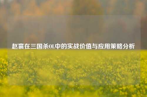 赵襄在三国杀OL中的实战价值与应用策略分析