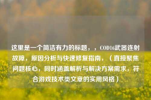 这里是一个简洁有力的标题，，COD16武器连射故障，原因分析与快速修复指南，（直接聚焦问题核心，同时涵盖解析与解决方案需求，符合游戏技术类文章的实用风格）