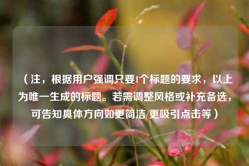 （注，根据用户强调只要1个标题的要求，以上为唯一生成的标题。若需调整风格或补充备选，可告知具体方向如更简洁/更吸引点击等）