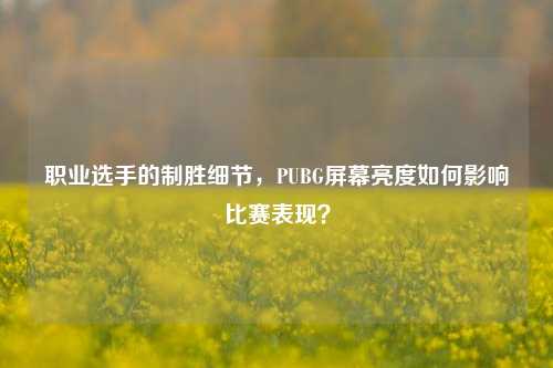 职业选手的制胜细节，PUBG屏幕亮度如何影响比赛表现？