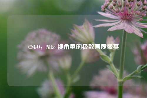 CSGO，Niko 视角里的极致画质盛宴